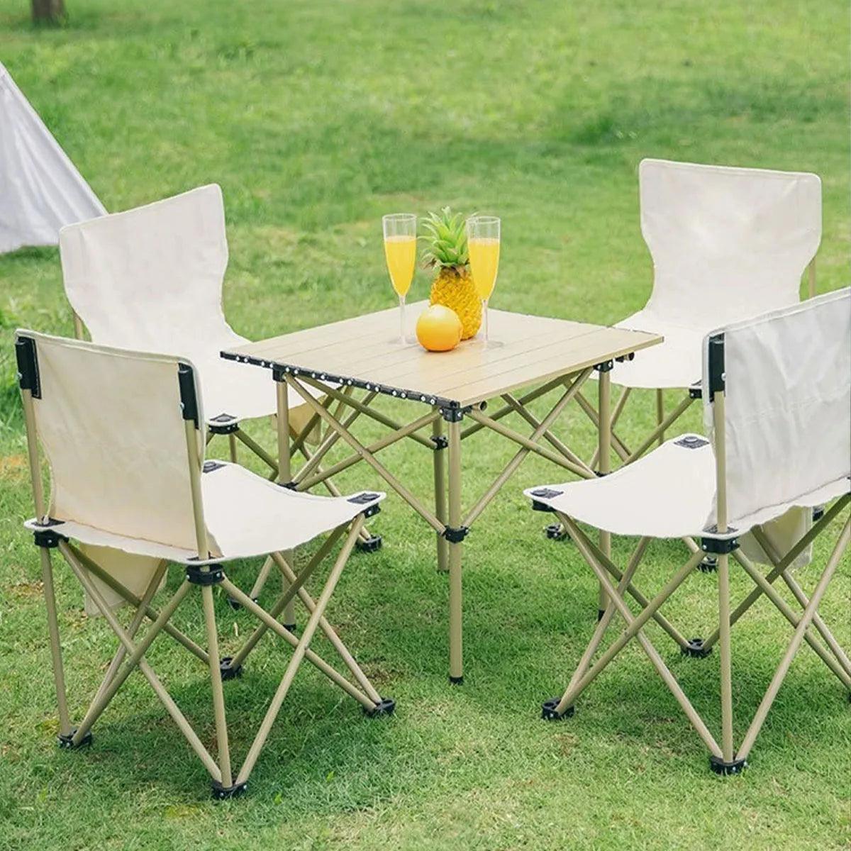 Basic Camping Chair